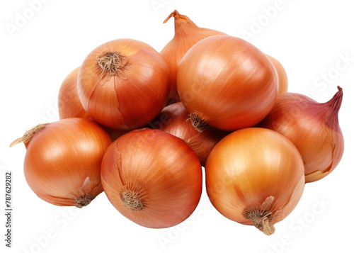 Wallpaper Mural PNG  Onions onion vegetable shallot.  Torontodigital.ca