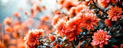 A close up of a bunch of orange flowers on the side