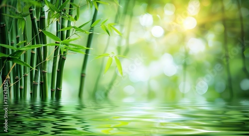 Bamboo Background with Foliage Mirrored in the Water. Made with Generative AI Technology (ID: 787639251)