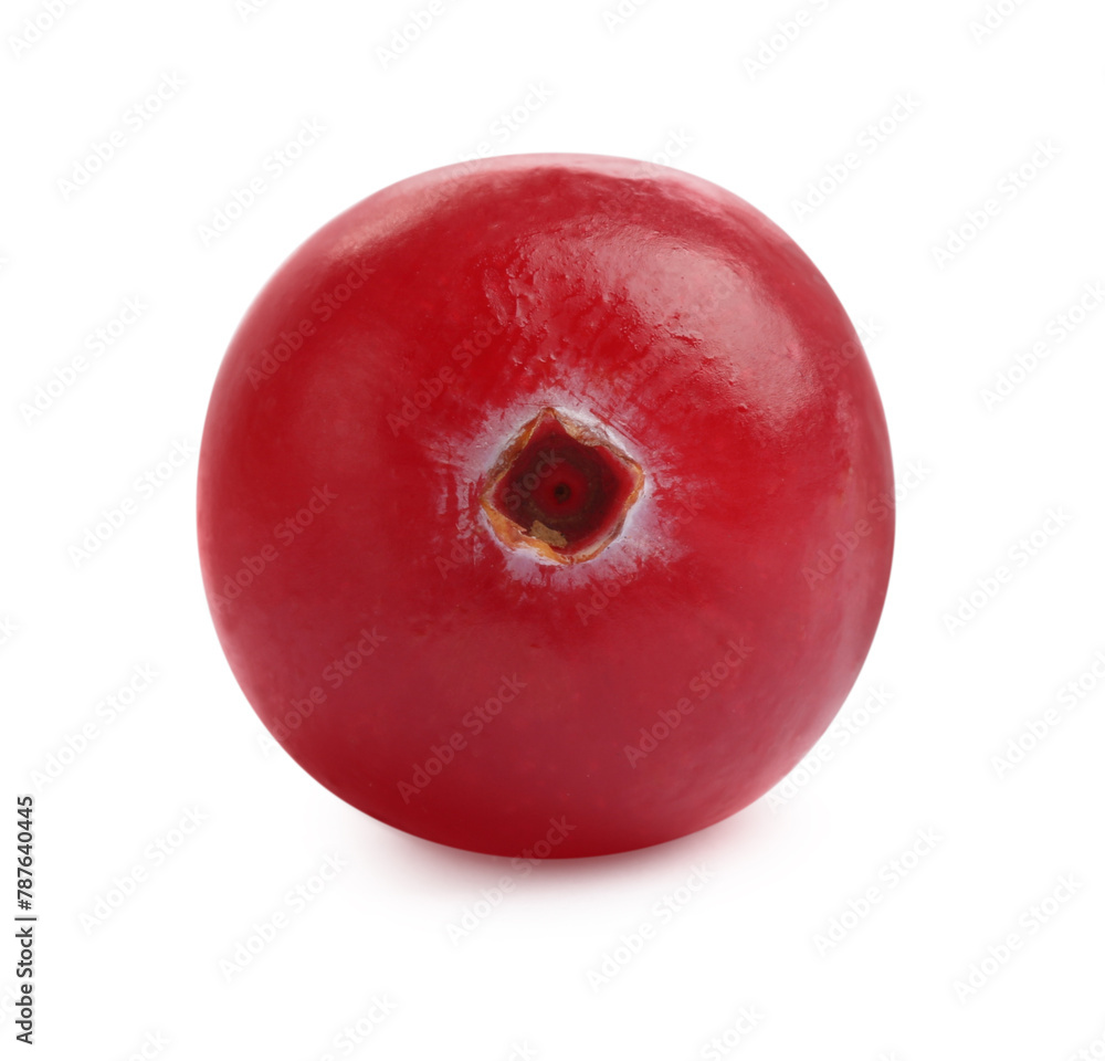 One fresh ripe cranberry isolated on white One fresh ripe cranberry isolated on white
