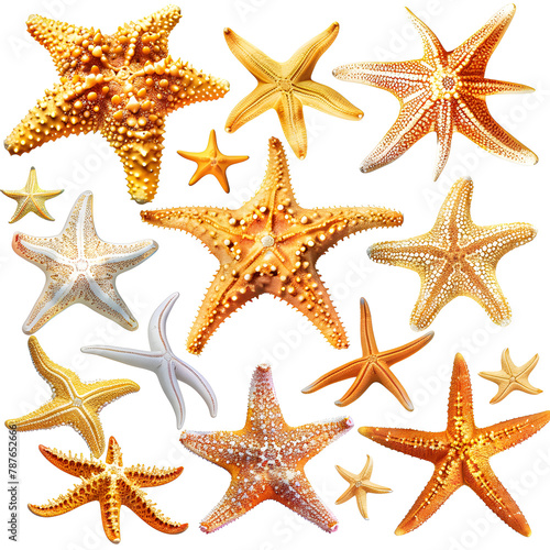 Clipart illustration featuring a various of starfish on white background. Suitable for crafting and digital design projects.[A-0003]