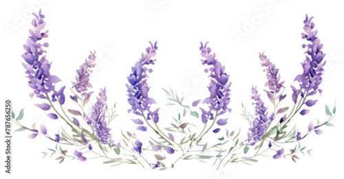 PNG Lavender flowers blossom purple plant.