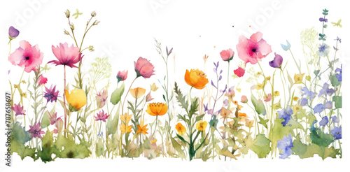 PNG Watercolor of a meadow spring Floral border painting outdoors flower.