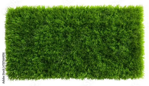 PNG Green grass field backgrounds plant green. AI generated Image by rawpixel. © Rawpixel.com