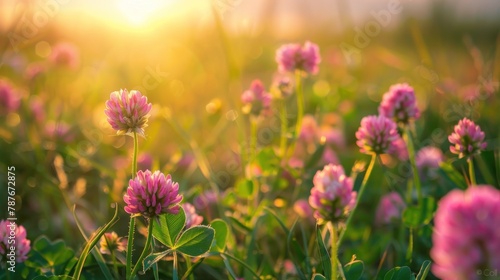 Beautiful pink clover flower in green grass field at summer nature landscape. AI generated image