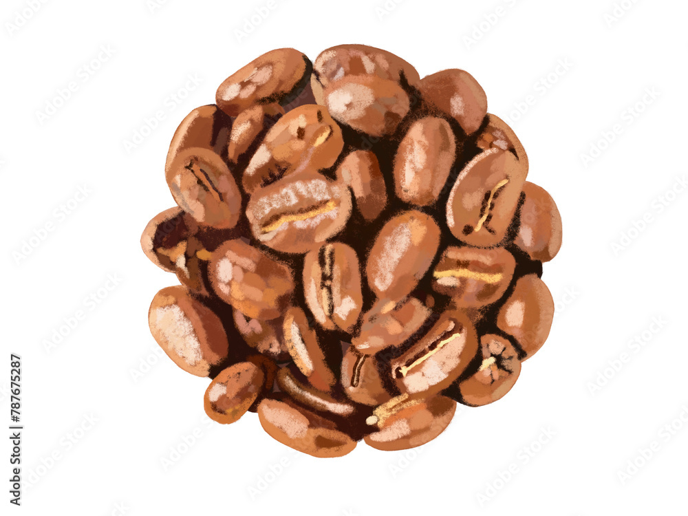 Obraz premium コーヒー豆(浅煎り)