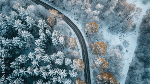 Winter landscape with road and forest seen from above