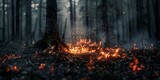 A fire burns in a cold forest, depicted with selective focus in an outdoor scene.