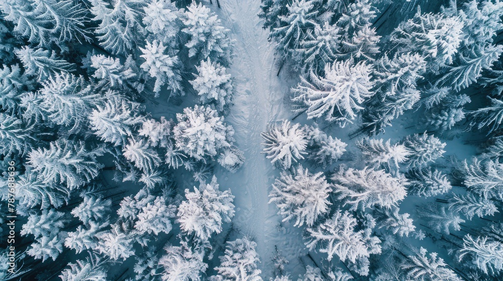 Displaying the stunning winter wilderness from above Displaying the stunning winter wilderness from above