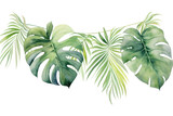 PNG Tropical leaves tropics plant leaf