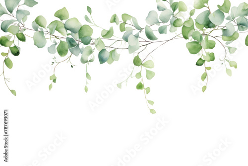 PNG  Minimal horizontal clean vine with shape edge in bottom border pattern nature plant photo