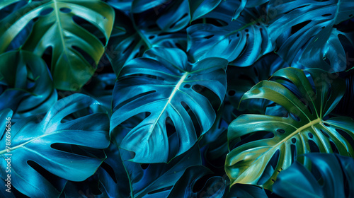 A close up of a bunch of leaves with a blue background