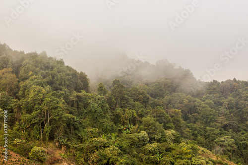 Misty morning landscape near Phongsali, Laos © Matyas Rehak