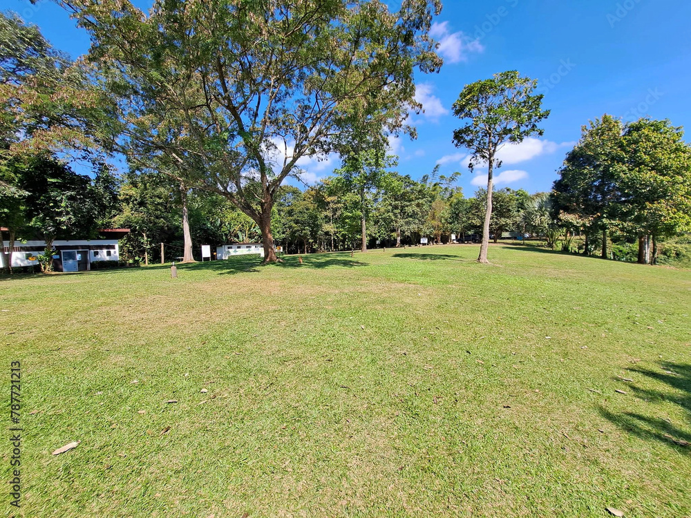 Naklejka premium beautiful landscape with a green grass