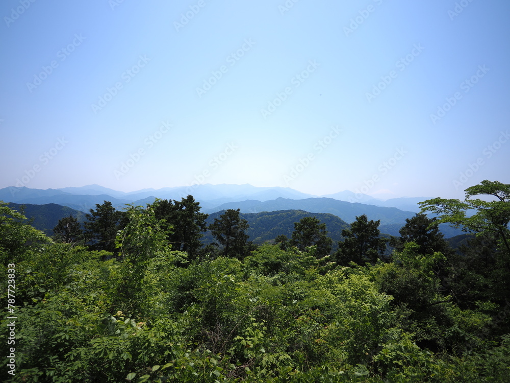 高尾山からの景色