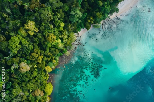 A stunning aerial shot of a tropical island paradise, with palm-fringed beaches, turquoise lagoons, and verdant rainforests teeming with wildlife, Generative AI