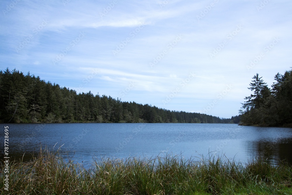 Landscape shot of clear blue lake surrounded by pine woodland in the background and a grassy meadow in the foreground, with clouds overhead. 