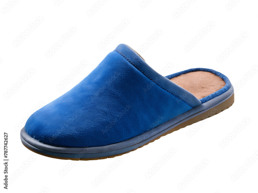 Slippers isolated on transparent background Slippers isolated on transparent background