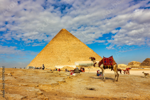 A Fully Bedecked Camel awaits tourists in front of the Great Pyramid of Khufu on the Giza plateau at Cairo Egypt
