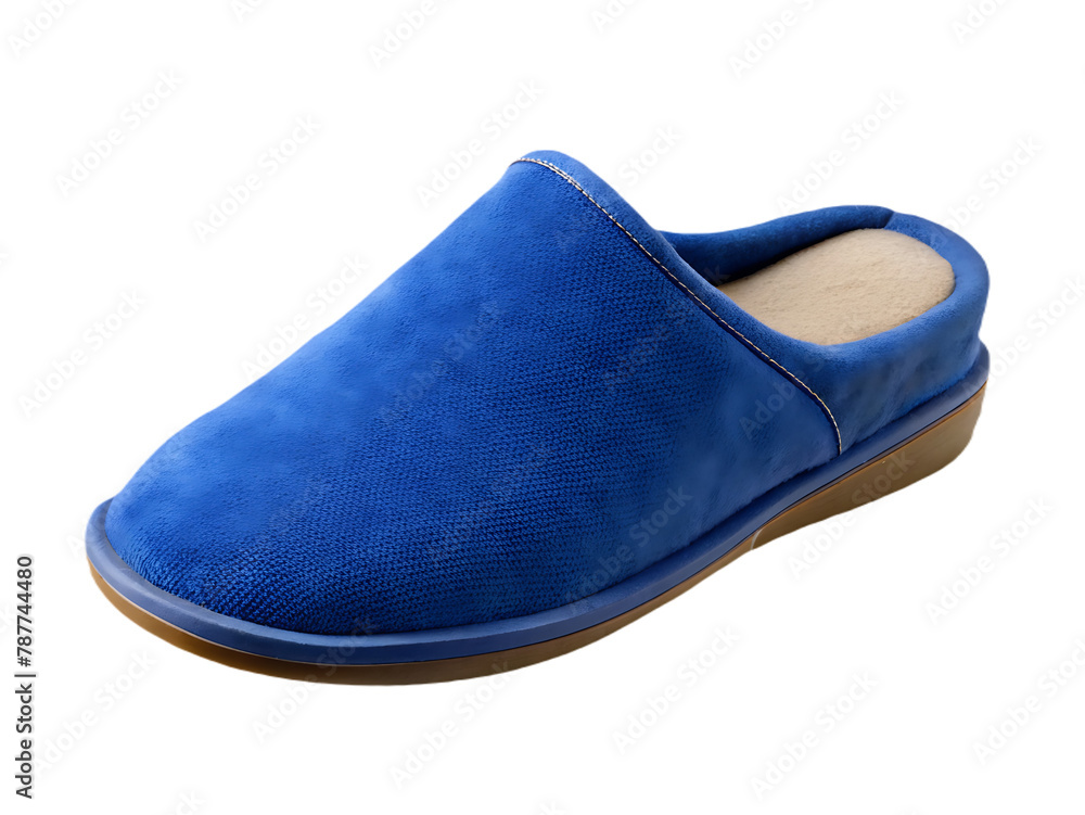 Slippers isolated on transparent background Slippers isolated on transparent background