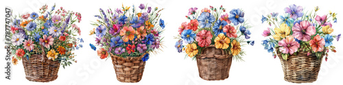 Watercolor of bouquet colorful spring flowers in wicker basket  On A Clean White Background Soft Watercolour Transparent Background