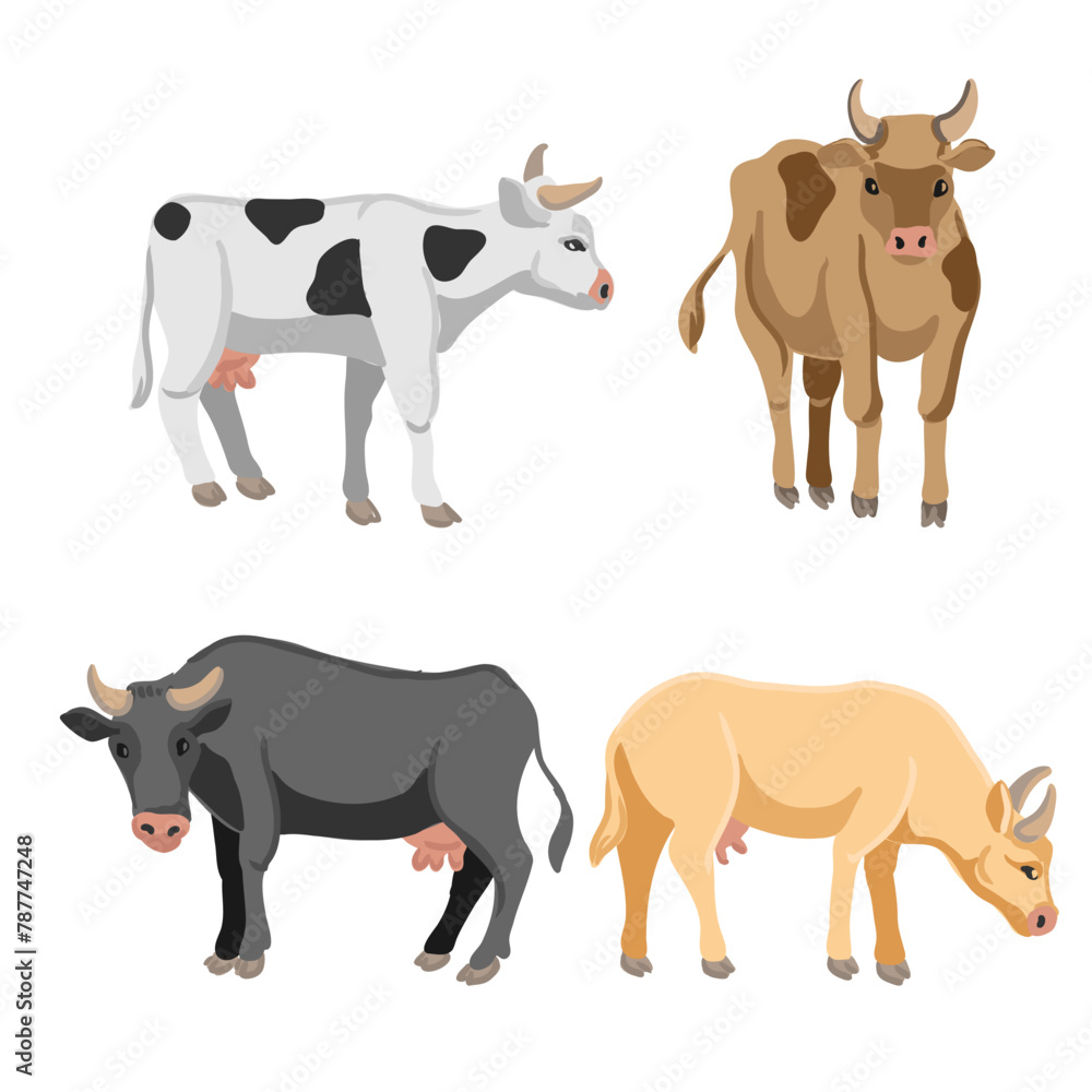 vector drawing set of cows, farm animals isolated at white background, hand drawn illustration