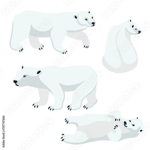 vector drawing polar bears  cartoon animals isolated at white background  hand drawn illustration