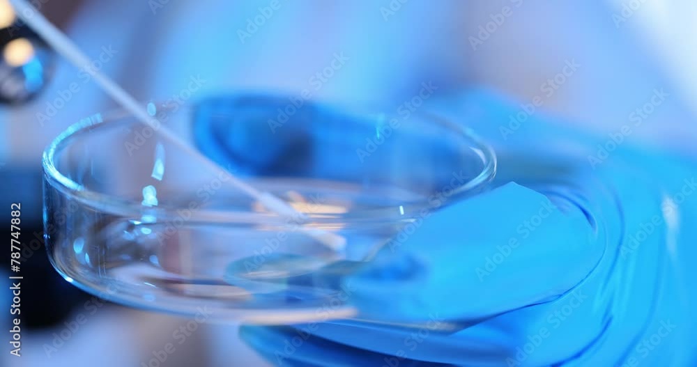 Researcher places sample with spatula into Petri dish Researcher places sample with spatula into Petri dish