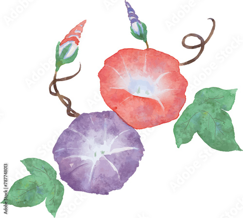 水彩で描いた朝顔のフレーム素材