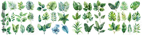 Set of Watercolor Tropical spring green leaves On A Clean White Background Soft Watercolour Transparent Background
