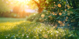 Automatic Lawn Sprinklers Watering Over Green Grass In The Garden sun shining bokeh lights Background Green grass with drops of dew at sunrise in spring in sunlight background beauty of nature 