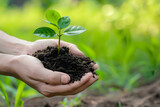 Hand holding seedling are growing from the rich soil. Development, ESG, Credit Carbon, Green business, finance and saving money for sustainability investment concept.