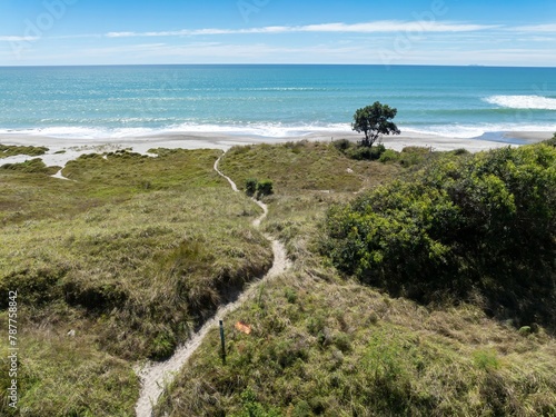 Aerial: Tussock and sandy beach in Pikowai, Bay of Plenty, New Zealand. photo