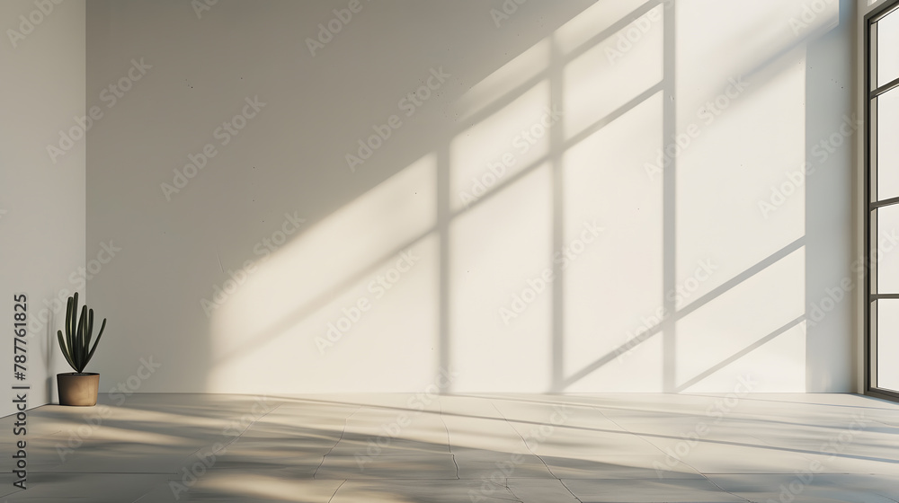 Obraz premium Minimalist photography background