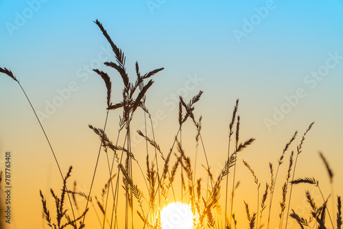 Wild Prairie Sunset