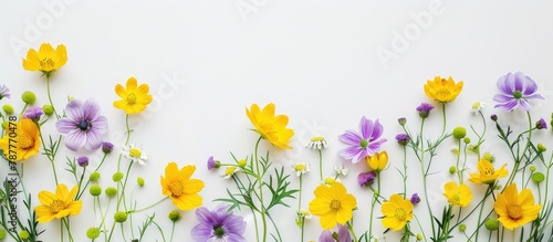 Arrangement of flowers featuring yellow and purple blooms against a white backdrop. Reflecting themes of spring and Easter  presented in a flat lay style with a top view and space for text.