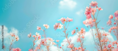 Spring flowers set against a blue backdrop with fluffy clouds.