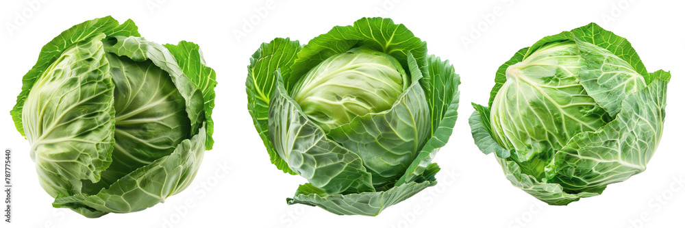 Raw cabbage isolated on white Raw cabbage isolated on white