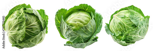 Raw cabbage isolated on white