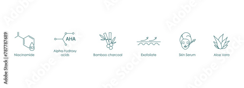 Niacinamide, AHA, Bamboo Charcoal, Exfoliate, Skin Serum, Aloe Vera Vector Icons Set