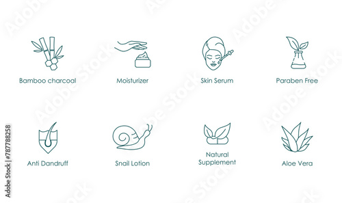 Bamboo Charcoal, Moisturizer, Skin Serum, Paraben Free, Anti Dandruff, Snail Lotion, Aloe Vera, Vector Icons Set
