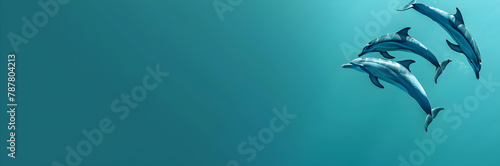 Dolphin conservation web banner. A group of dolphins isolated on teal background with copy space.