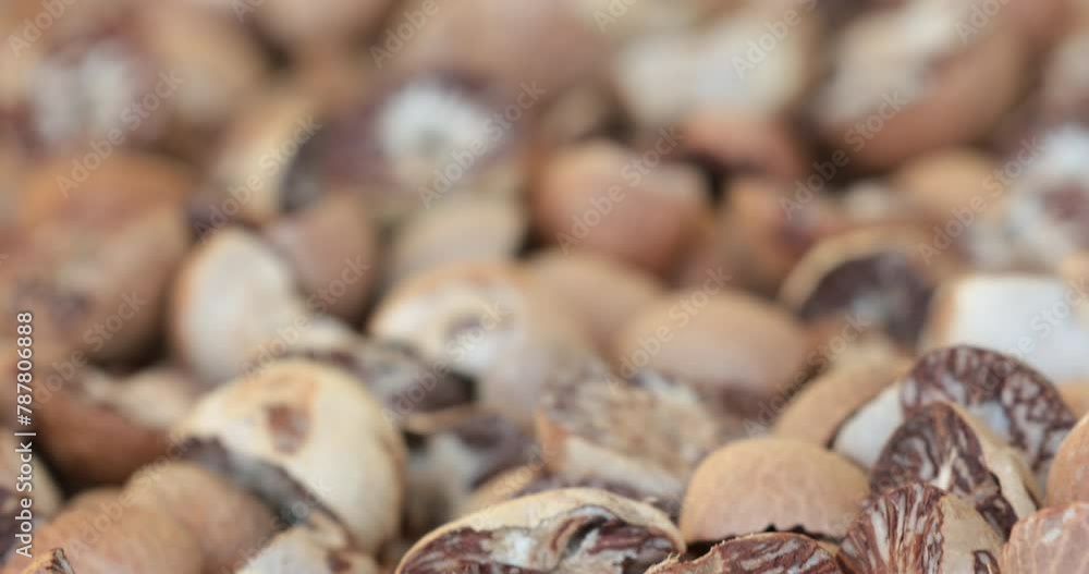 Process of Dried betel nut,Drying Areca Nut background