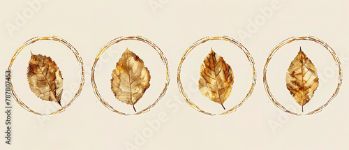 four different types of leaves are arranged in a circle