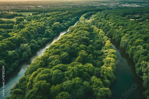 Aerial view of the green forest and the river   Drone photography