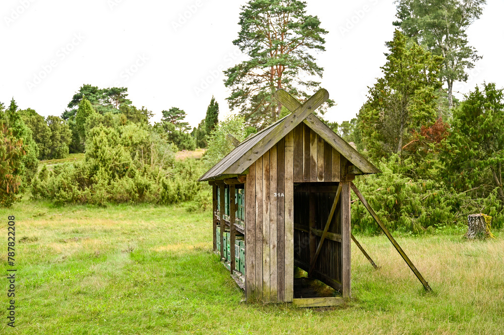 Bienenkästen oder Bienenstockkästen aus Holzkisten stehen in einen Holz-Ständer mit kleinem Dach aus Holz für die Bienenvölker in der Lüneburger Heide, Schneeverdingen, Niedersachsen, Deutschland Bienenkästen oder Bienenstockkästen aus Holzkisten stehen in einen Holz-Ständer mit kleinem Dach aus Holz für die Bienenvölker in der Lüneburger Heide, Schneeverdingen, Niedersachsen, Deutschland