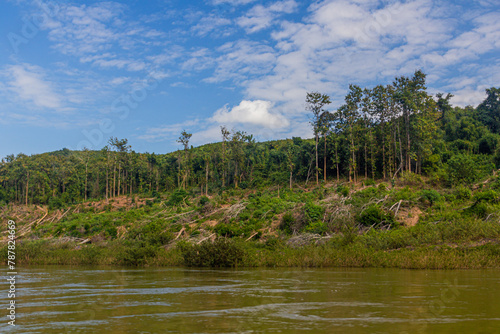 Trees are removed due to increasing levels of Nam Ou river during Nam Ou 3 dam filling, Laos © Matyas Rehak