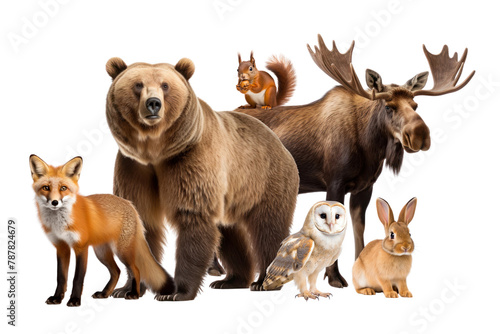 Canadian wildlife png, animal remix, transparent background