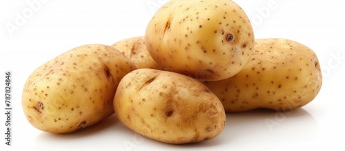 Potato on a white background photo