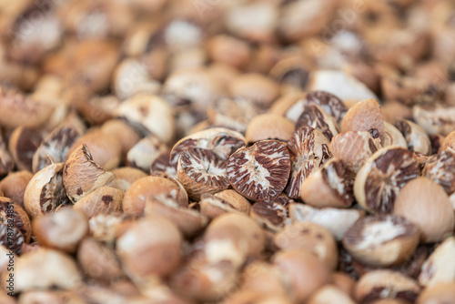 Dried betel nut Background,Drying Areca Nut background photo
